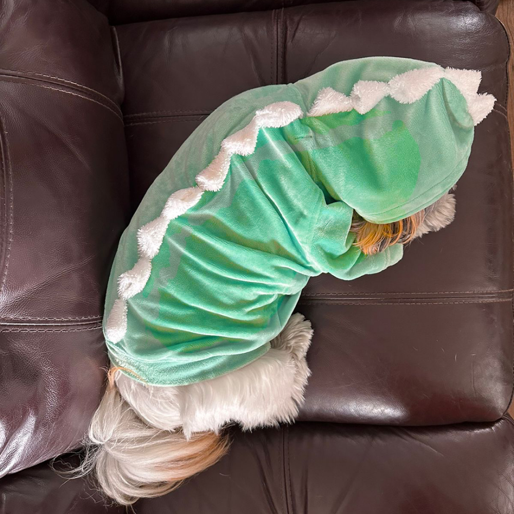 Dogobow The Good Dino Hoodie for Dogs and Cats (Teal Green/White) (Get a Bow Free) image 3