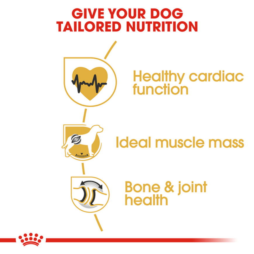 Royal Canin Rottweiler Adult Dog Dry Food image 2