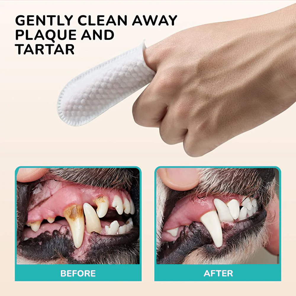QPets Finger Dental Wipes for Dogs and Cats image 4