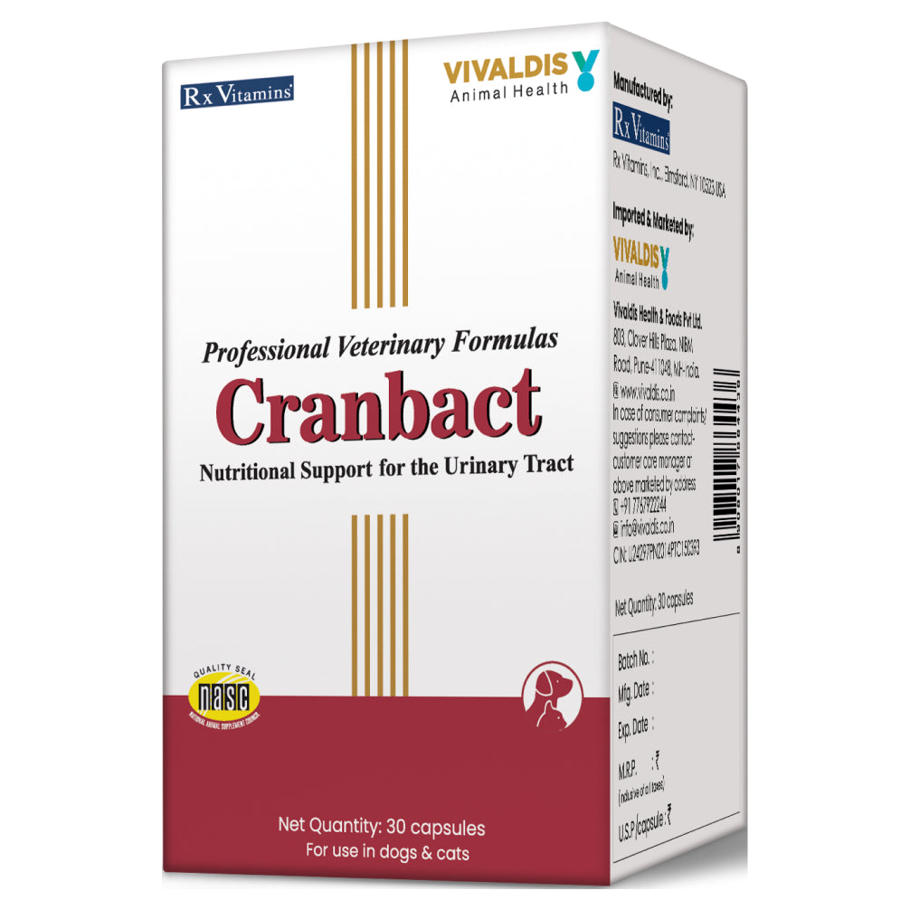 Vivaldis Cranbact Capsules for Dogs and Cats (pack of 30 capsules) image 2