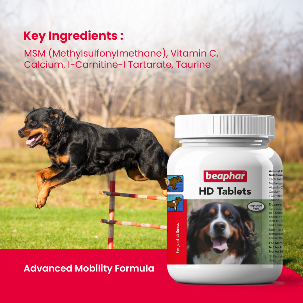 Beaphar HD Hip Dysplasia & Joint Problems Supplement Tablets for Dogs image 6