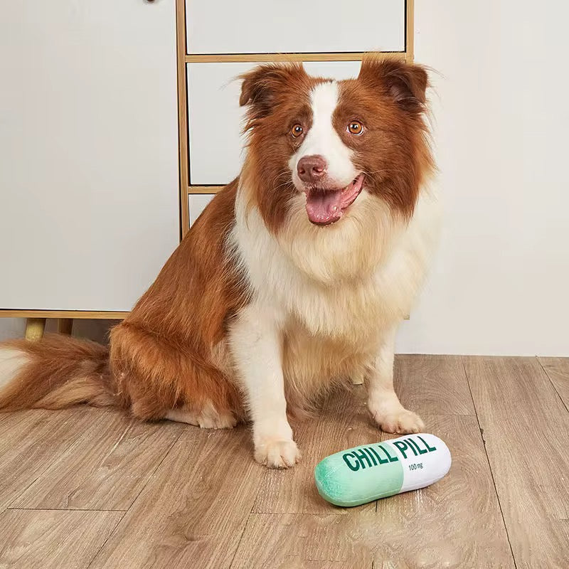 Talking Dog Chill Pill Plush Toy for Dogs (Green) image 2