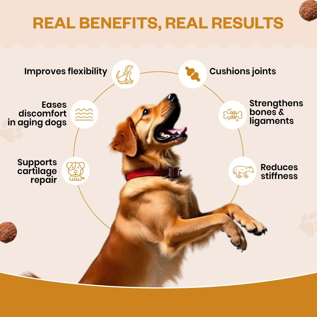 TailsAlive Hip & Joint Chicken Flavor Soft Chews Supplements for Dogs image 8