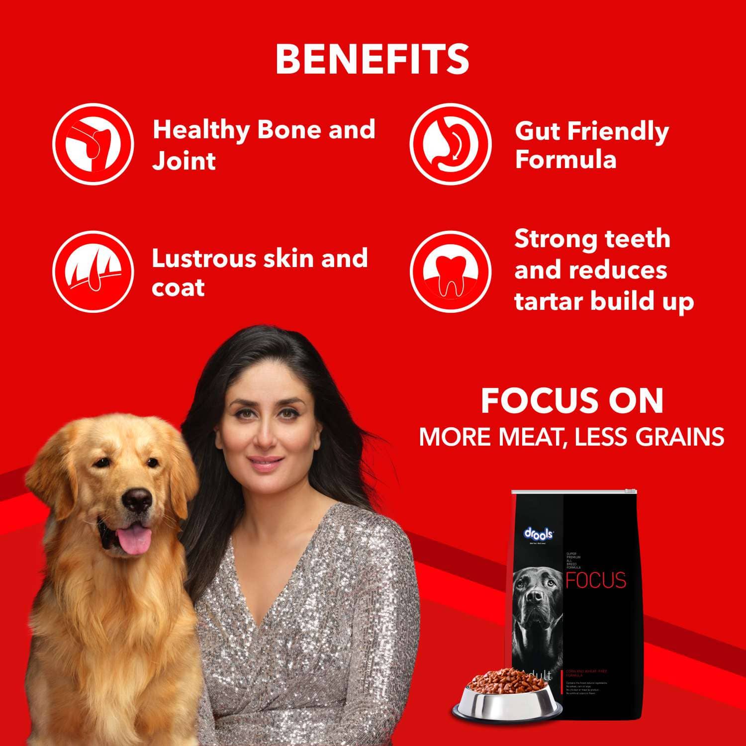 Drools Focus Super Premium Dry Food and Chicken & Liver Chunks in Gravy Adult Dog Wet Food Combo image 5