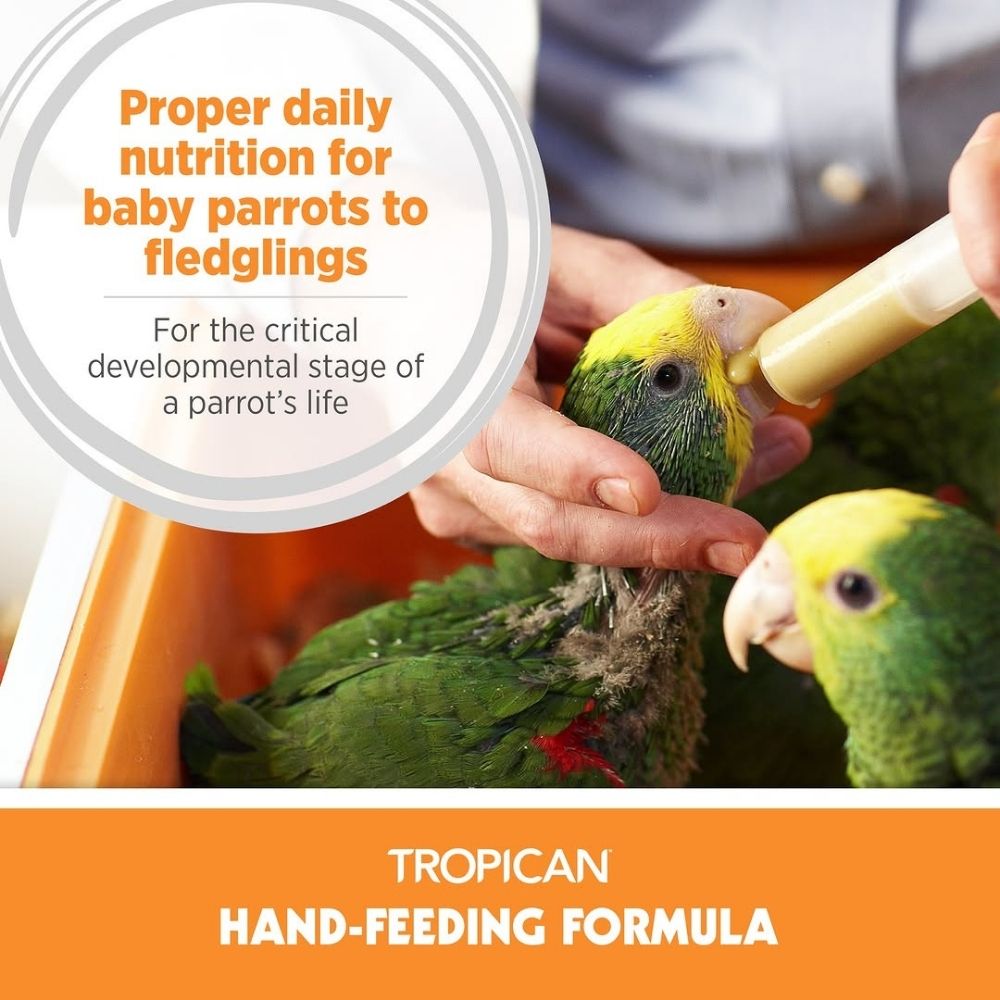 Hagen Tropican Hand Feeding Formula Bird Food (Yellow) image 4