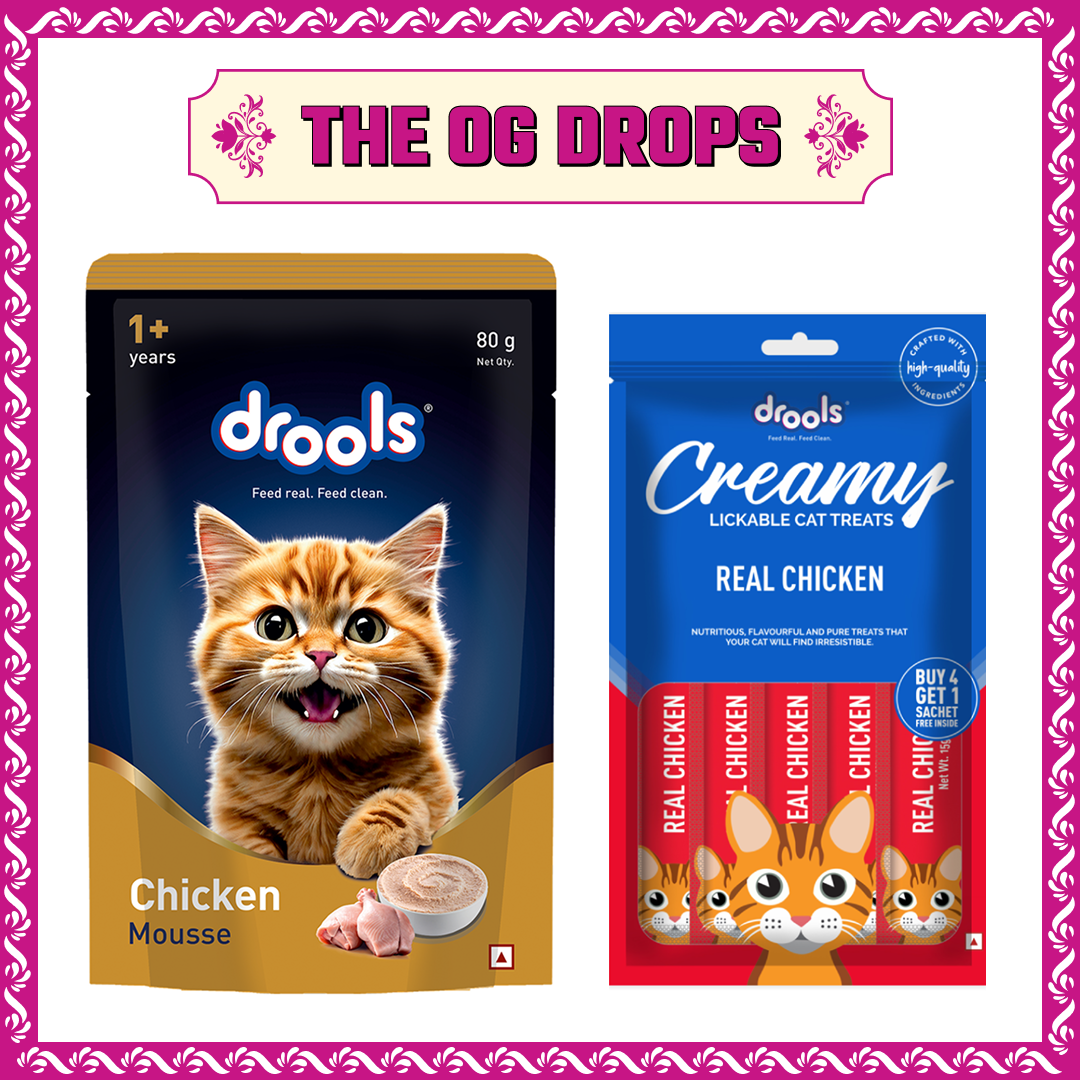 Drools Chicken Mousse Adult Cat Wet Food image 3