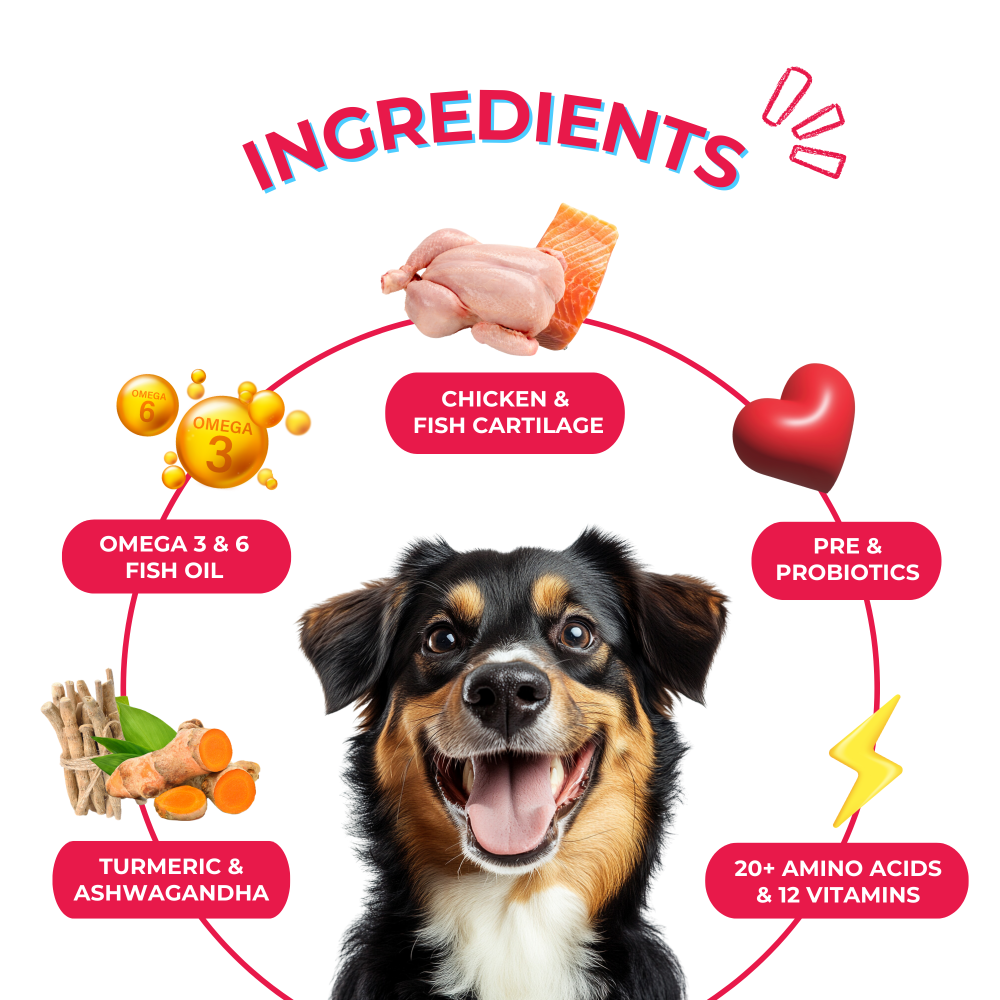 Yummytails Chicken and Fish Premium Adult Medium and Large Dog Dry Food image 4