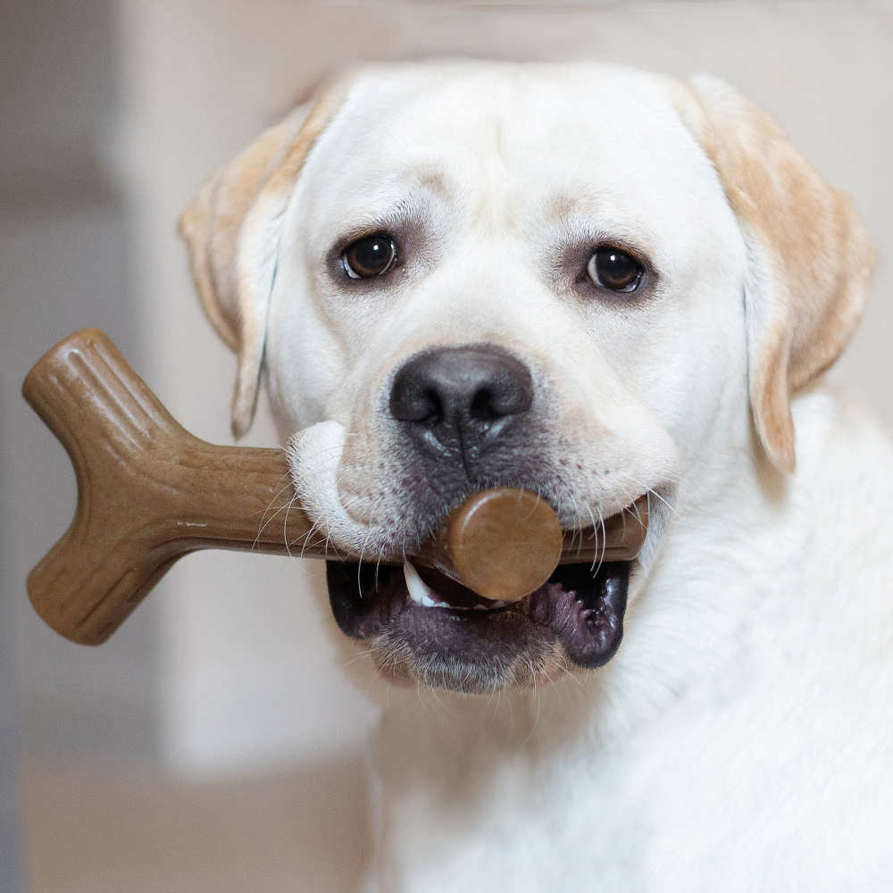 Benebone Bacon Flavored Stick Chew Toy for Dogs image 3