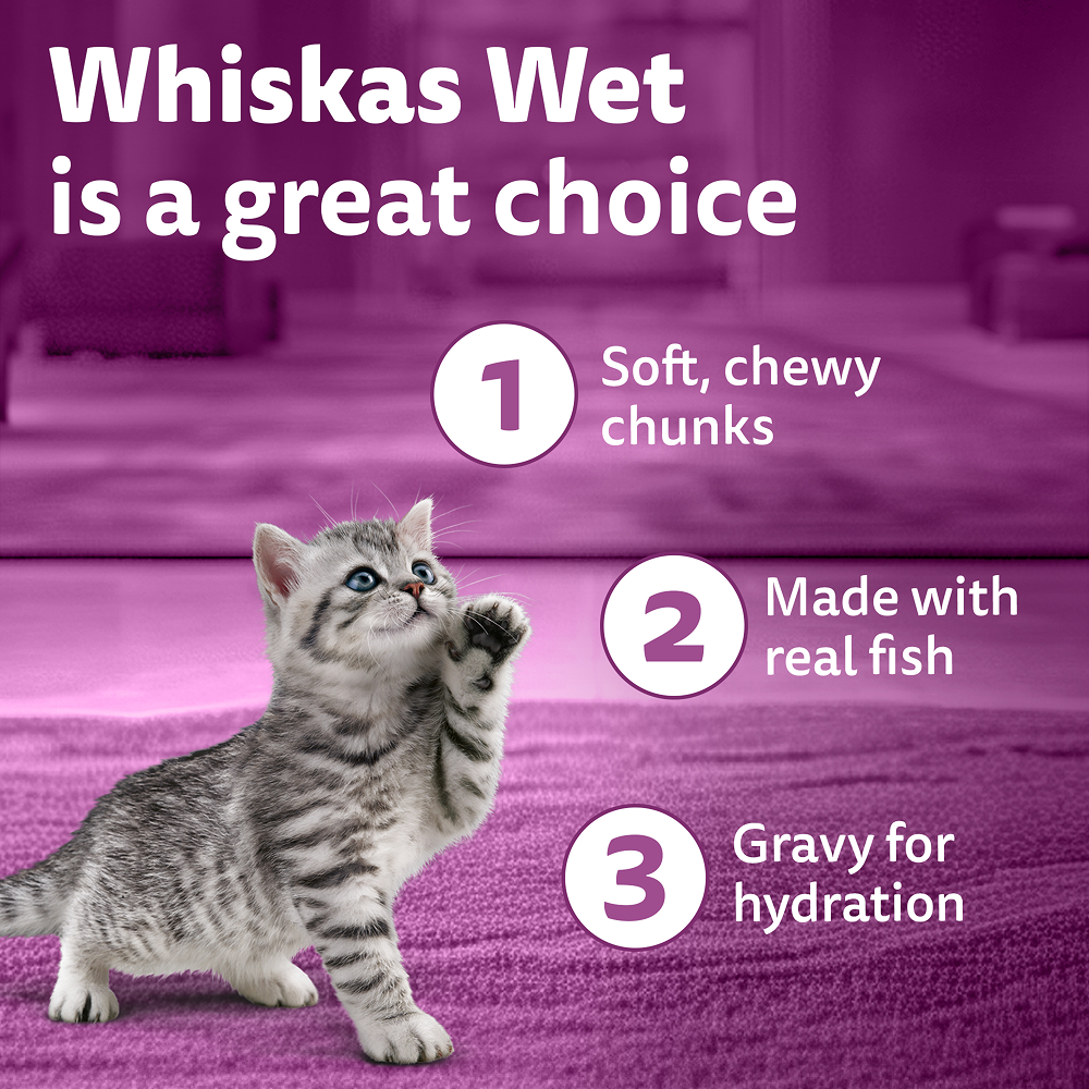 Whiskas Tuna in Jelly Kitten Cat Wet Food (80g) image 6