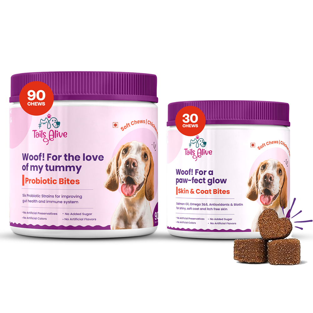 TailsAlive Probiotic Chicken Flavor and Skin & Coat Soft Chews Supplements for Dogs image 5