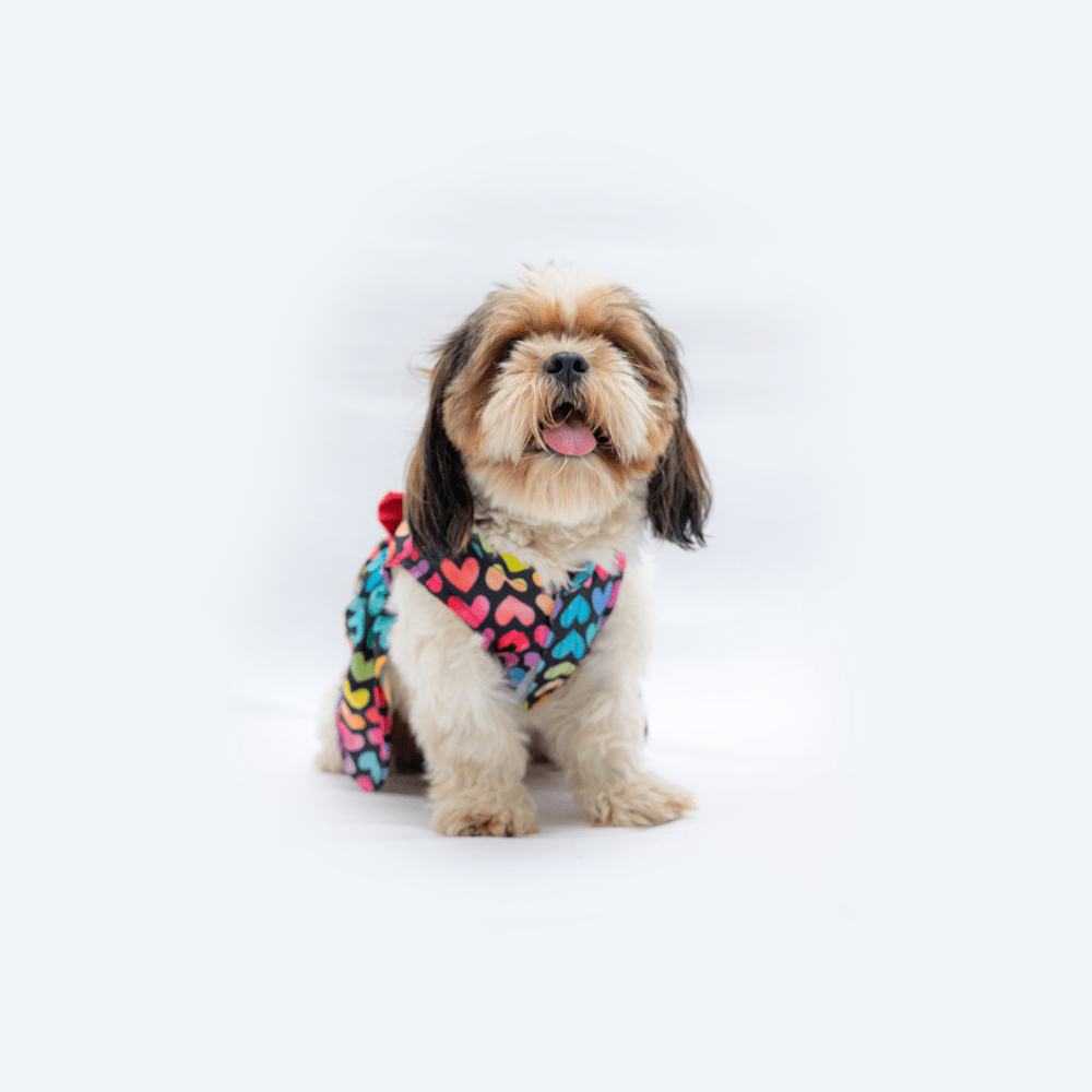 Pawgypets Multi Heart Casual Dress for Dogs and Cats image 4