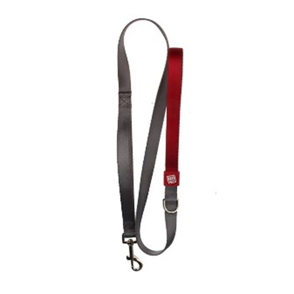 GiGwi Premium Line Collar for Dogs (Grey)