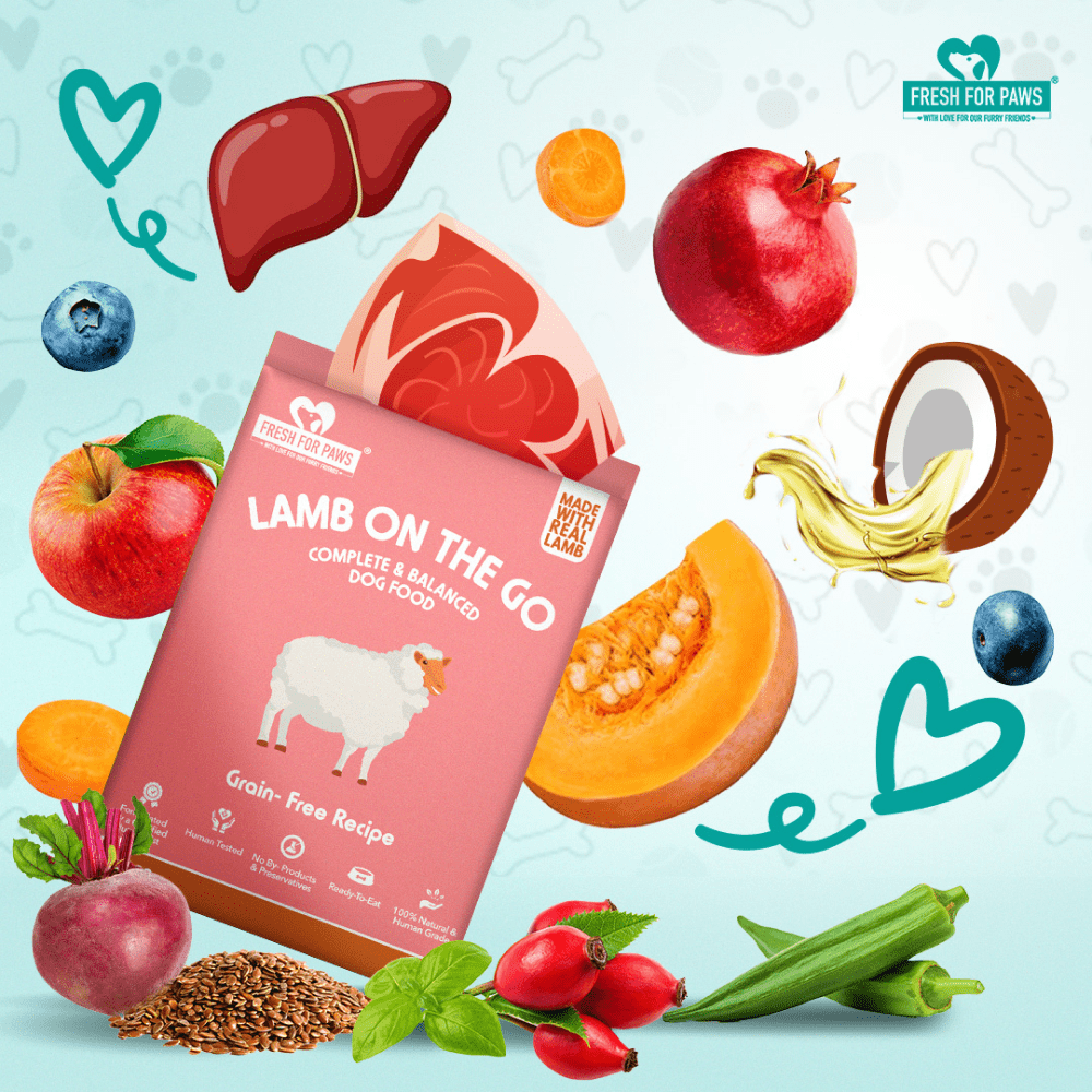 Fresh For Paws Lamb On The Go Dog Wet Food (100g) image 3