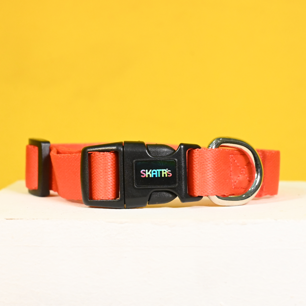 Skatrs Collar for Dogs (Red)