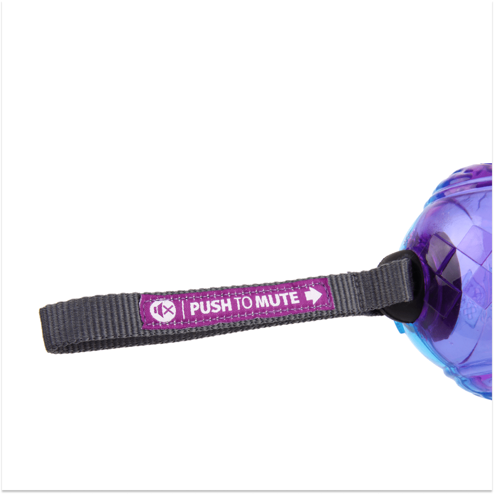 GiGwi Push To Mute Johnny Stick for Dogs (Purple/Blue) image 6