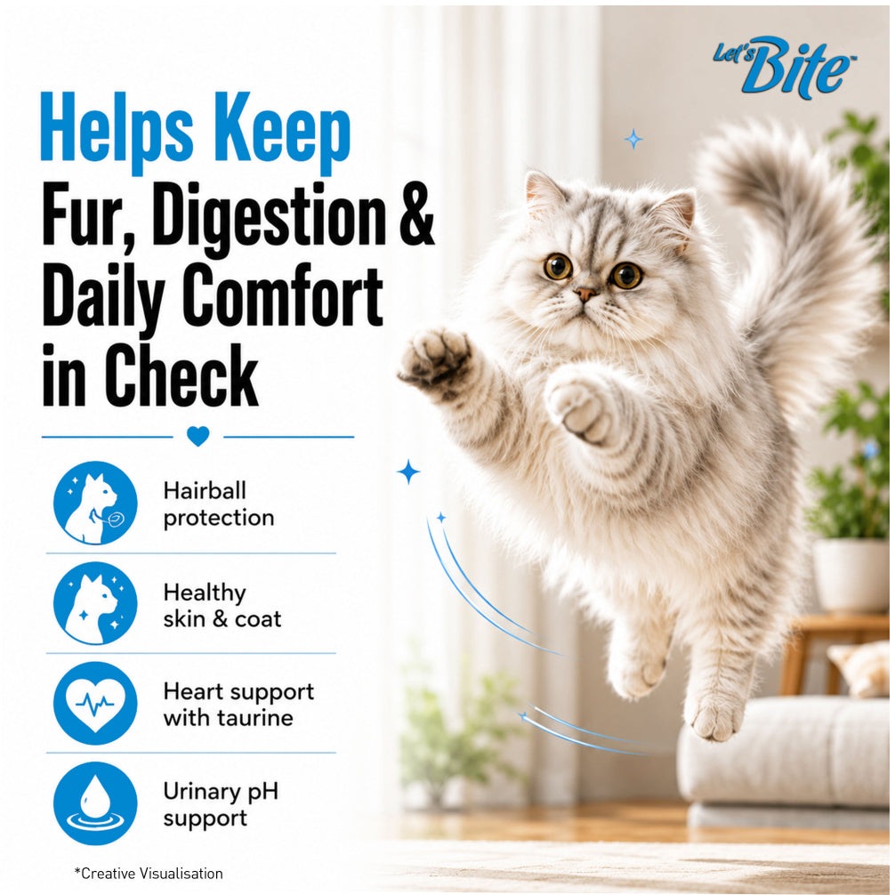 Let's Bite Active Persian Ocean Fish Cat Dry Food image 6