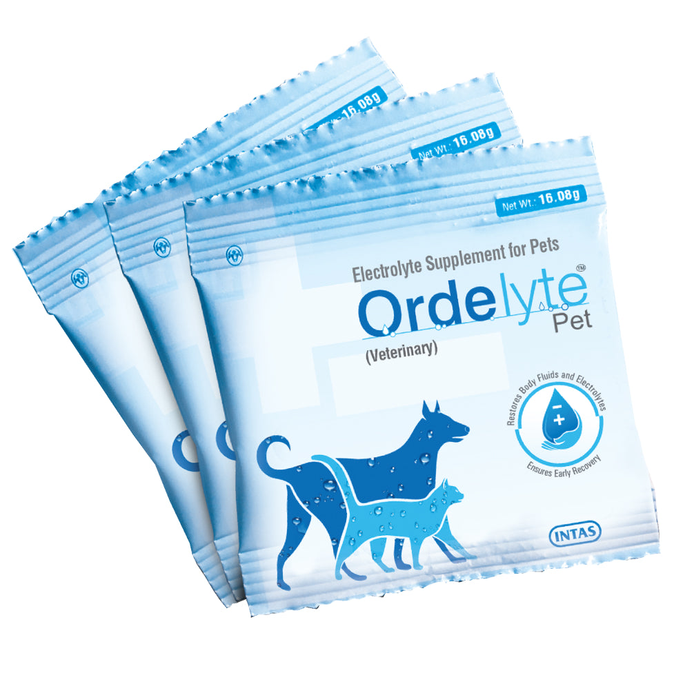 Intas Ordelyte Powder Electrolyte Suppement for Dogs and Cats image 2