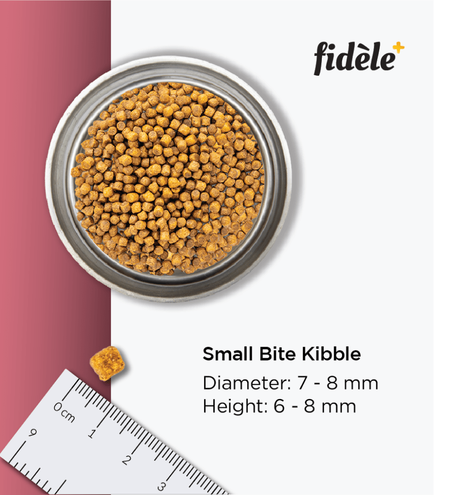Fidele Plus Small and Medium Puppy Dry Food image 6