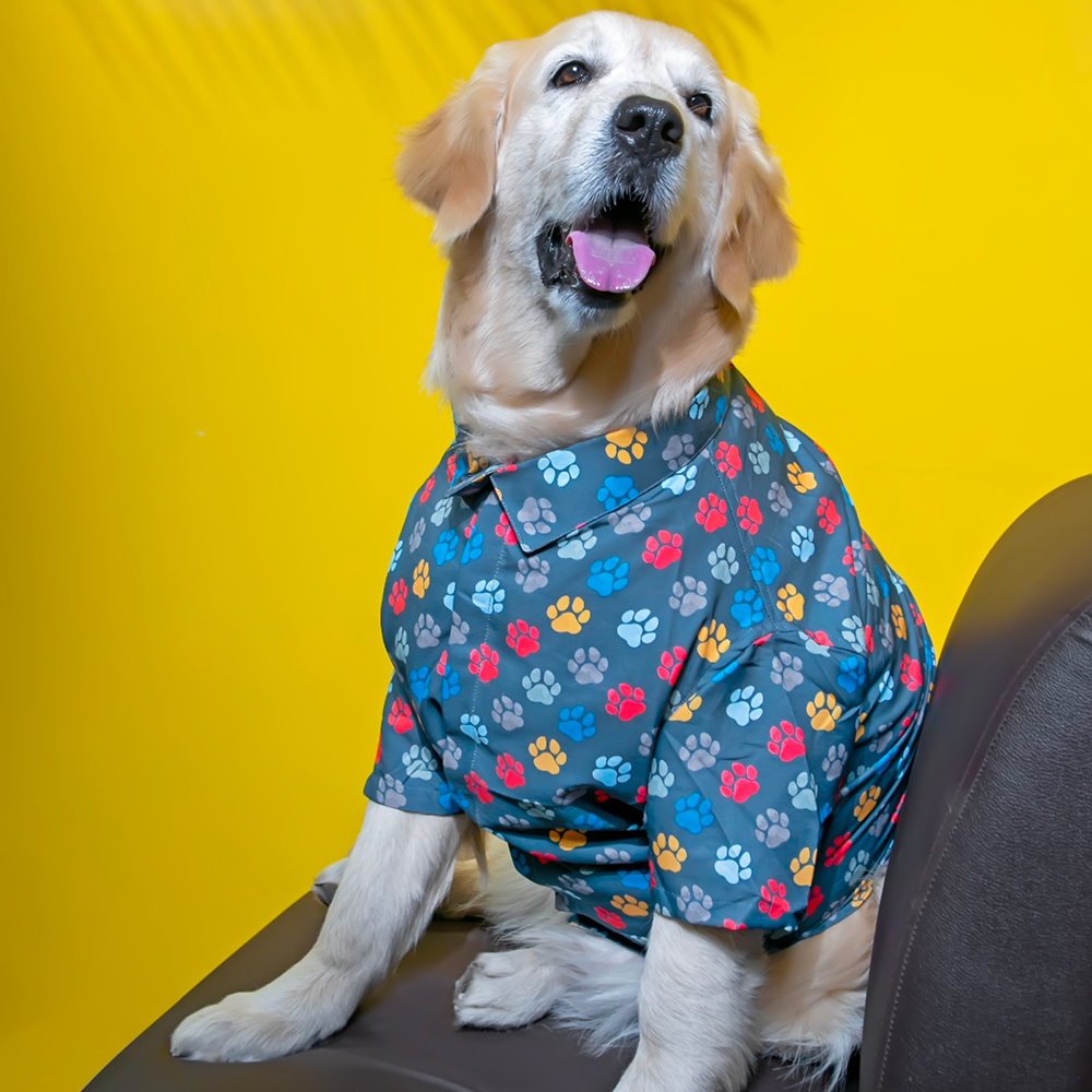 15buttons Pawsome Shirt for Dogs image 4