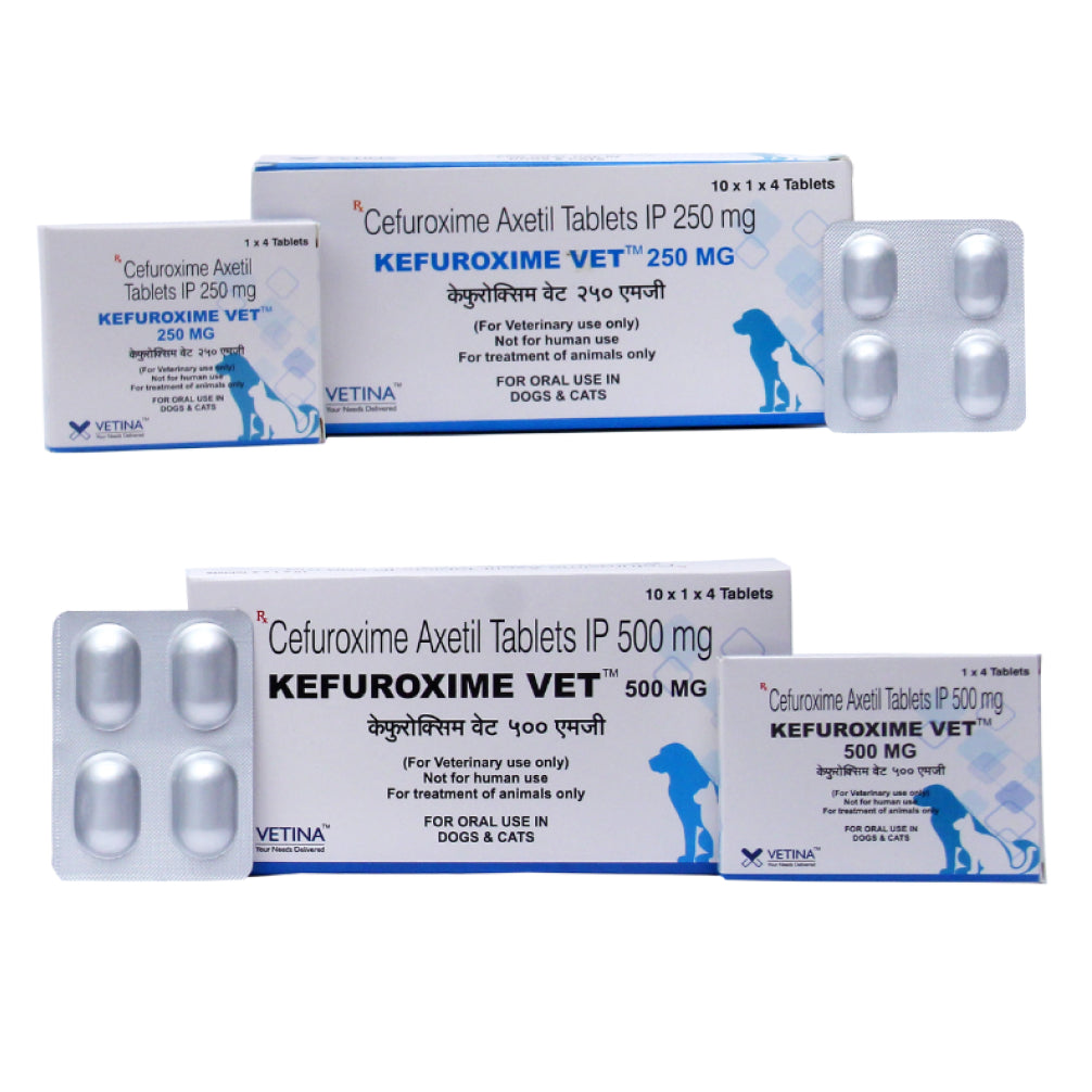 Vetina Kefuroxime Vet 250mg Tablets (Cefuroxime Axetil) for Dogs and Cats image 3