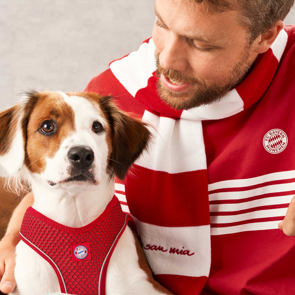 Hunter Hilo Comfort FC Bayern München Harness for Dogs (Red) image 4