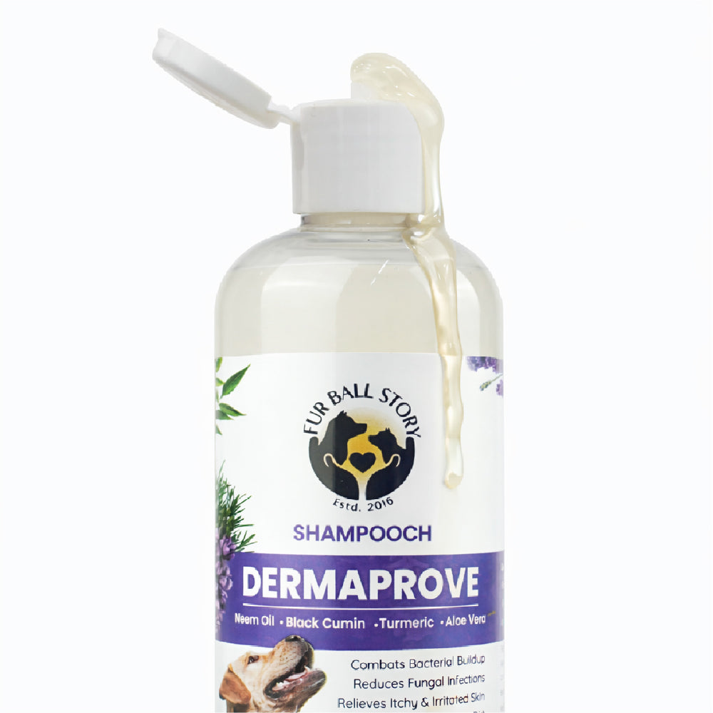 FurBall Story Shampooch Dermaprove Shampoo for Dogs image 9
