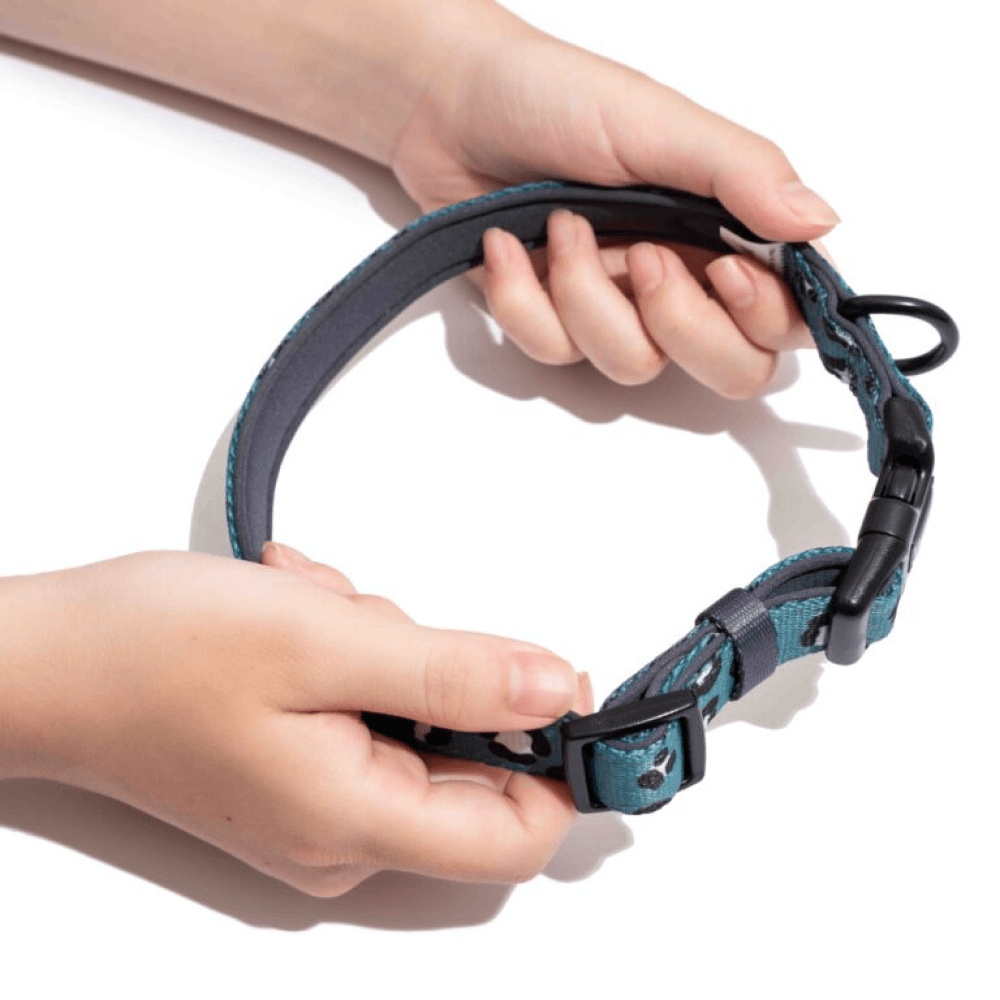 Furry & Co Wild One Comfort Collar for Dogs image 3