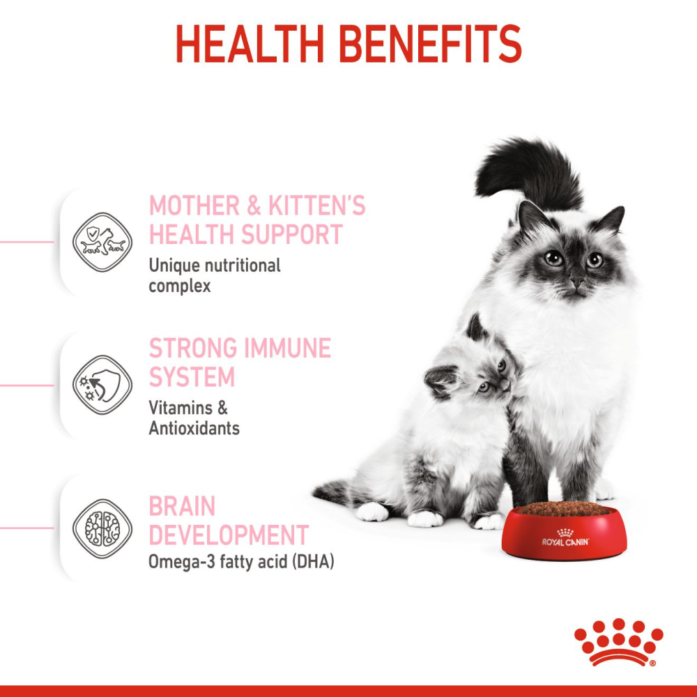 Royal Canin Mother & Babycat Cat Dry Food image 2