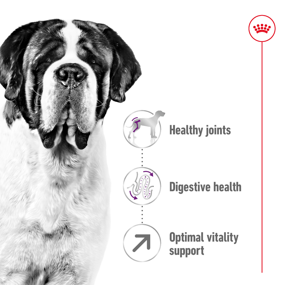 Royal Canin Giant Adult Dog Dry Food image 2