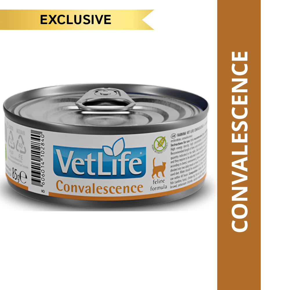 Farmina Vet Life Convalescence Feline Formula Cat Wet Food image 1