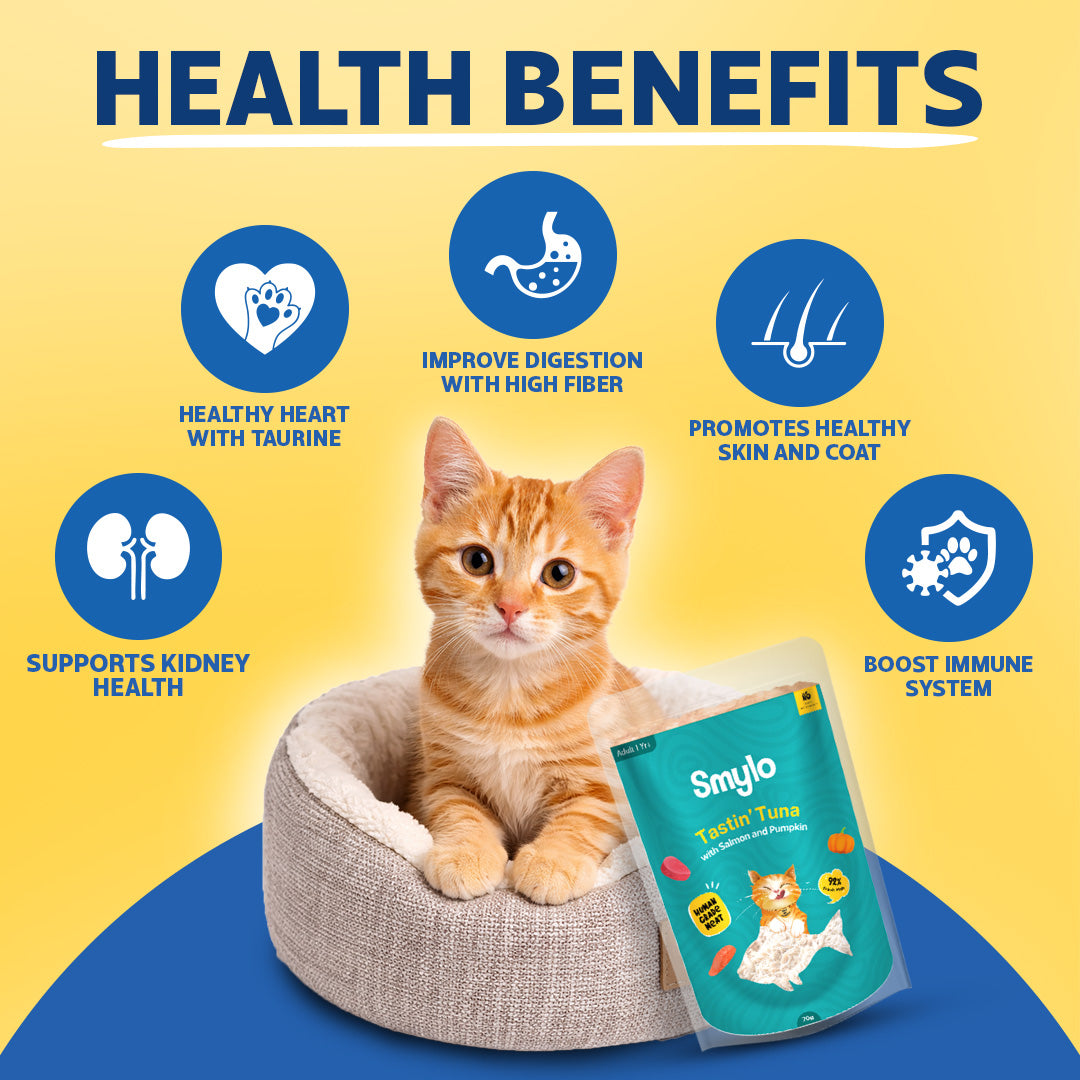 Smylo Adult Variety Combo, Tuna, Chicken & Mackerel, Fresh & No-Preservative Wet Cat Food image 6