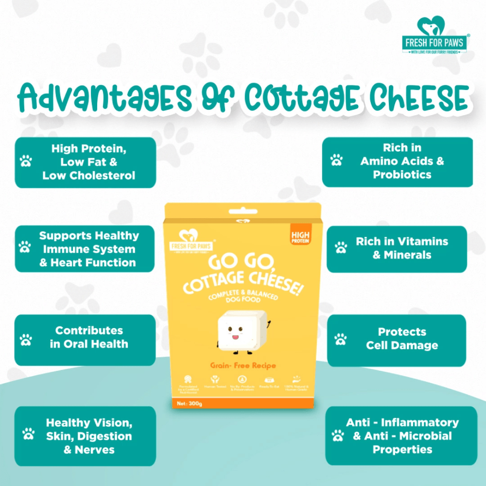 Fresh For Paws Go Go Cottage Cheese Dog Wet Food (300g) image 6