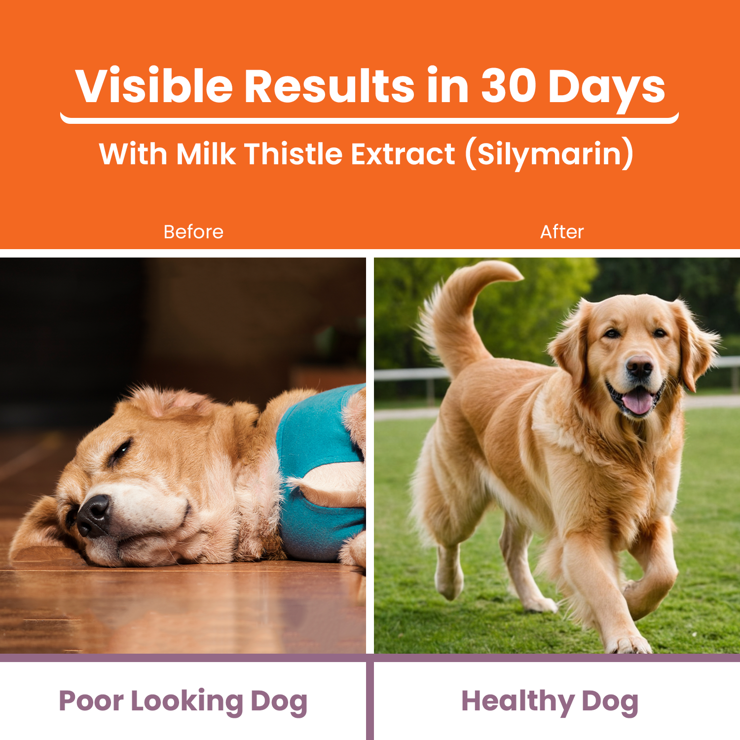 Lickicious Chicken Flavour Liver Care Syrup for Liver Support & Liver Detox for Dogs & Cats image 3