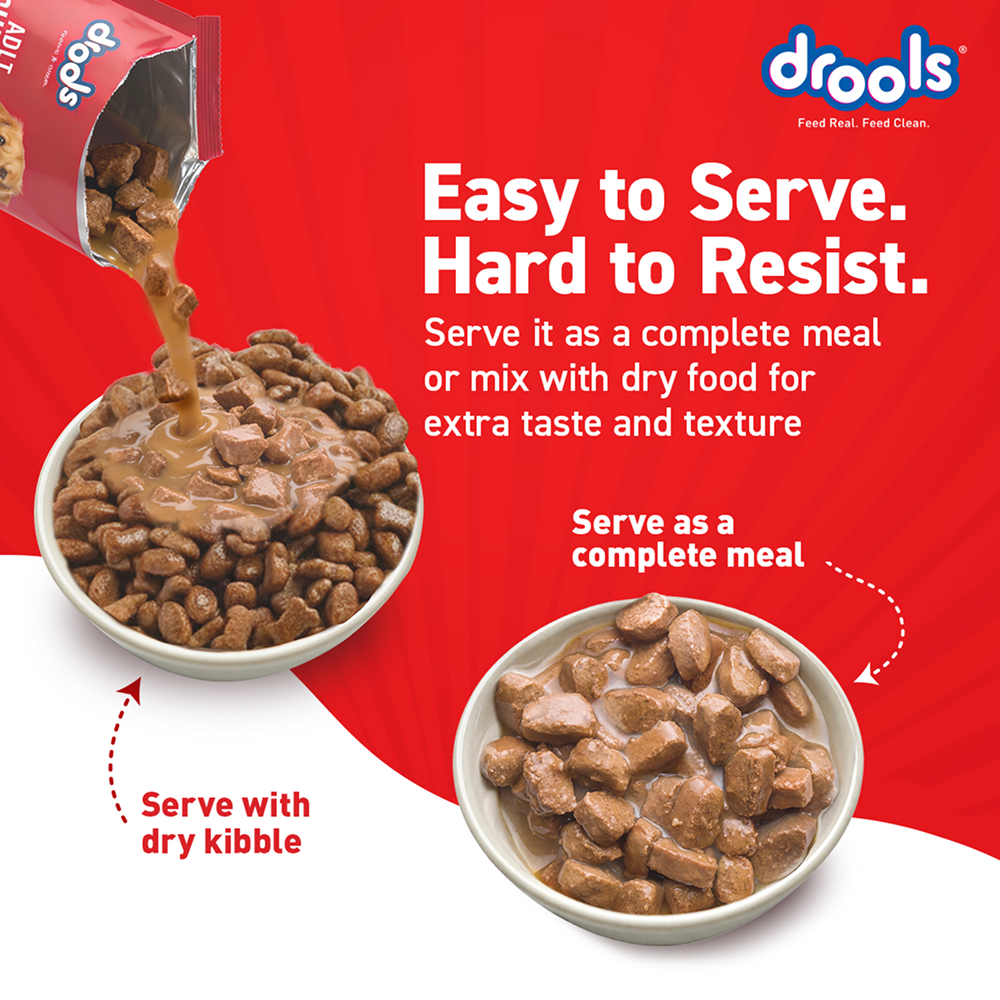 Drools Real Chicken & Chicken Liver Chunks in Gravy Adult Dog Wet Food image 10