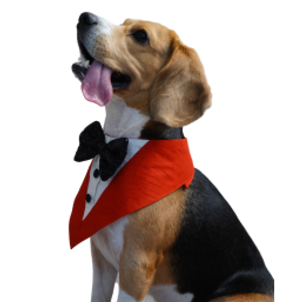 Floof & Co Tux Bandana Triangle for Dogs (Red) image 5