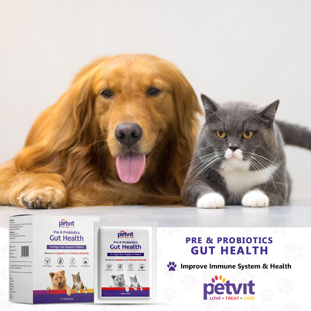 Petvit Pre & Probiotics Gut Health Powder for Dogs and Cats image 7