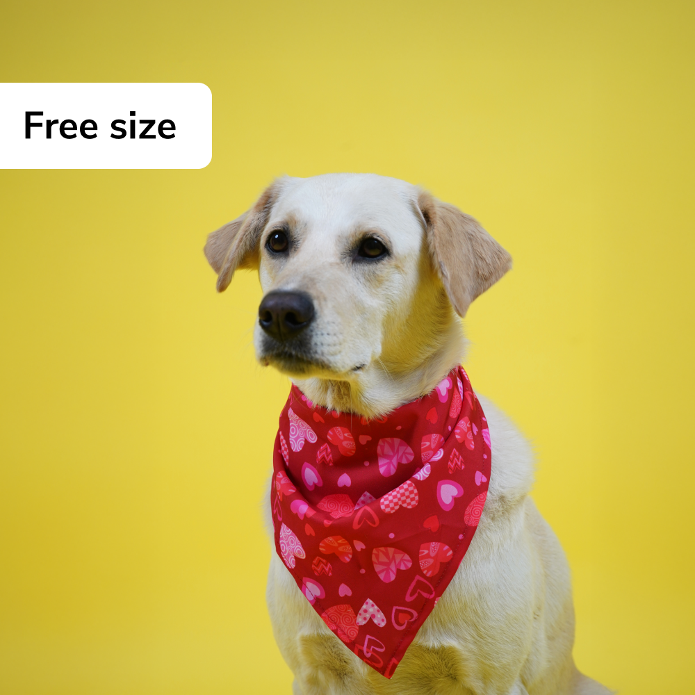 Skatrs Heart Printed Bandana for Dogs and Cats (Red) image 4