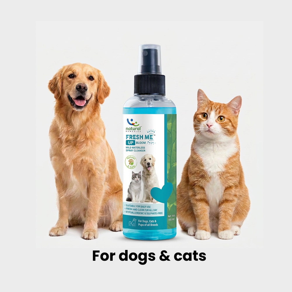 Natural Remedies Fresh Me Up Bloom Dry Shampoo for Dogs and Cats image 4