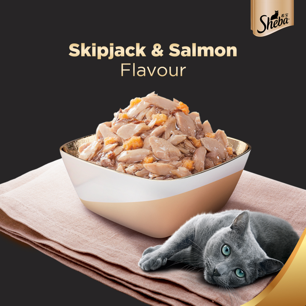 Sheba Skipjack & Salmon Fish Mix Cat Wet Food image 3