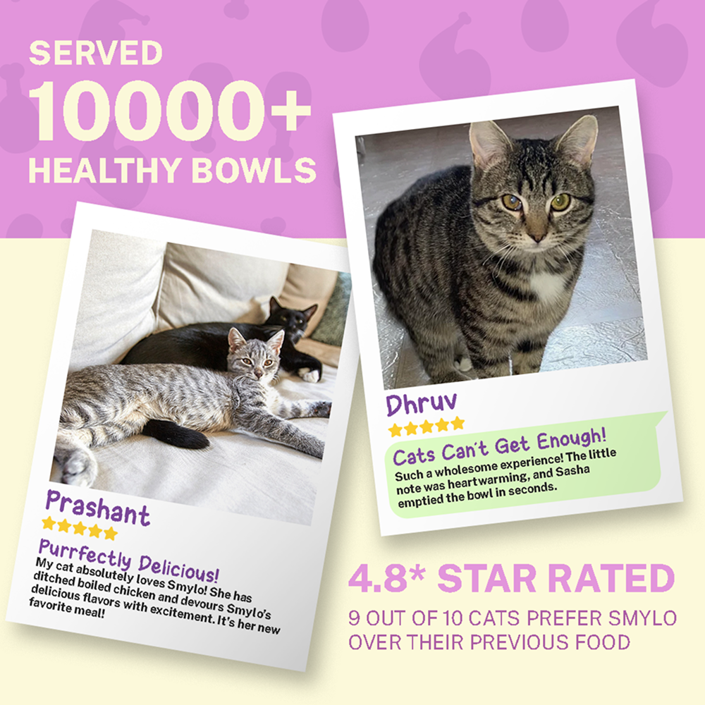 Smylo Adult Chicken & Liver, Pomegranate, Fresh & No-Preservative Wet Cat Food image 8