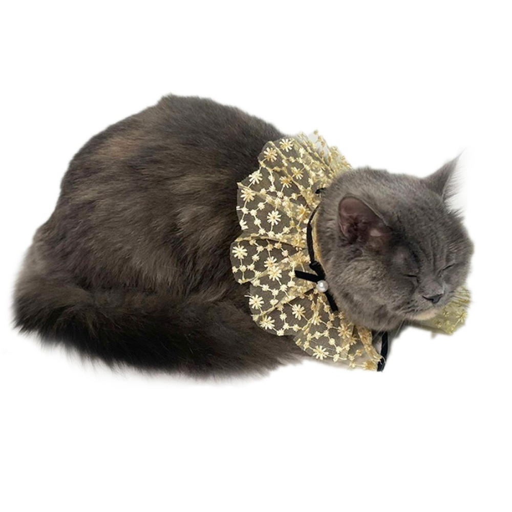 Dogobow Net Ribbon Neck Tutu for Dogs and Cats (Cream) (Get a Bow Free) image 5