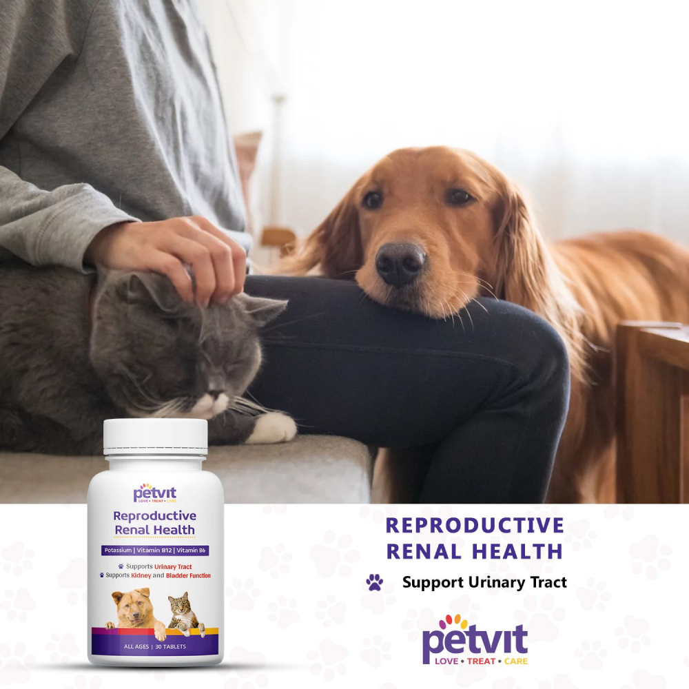 Petvit Reproductive Renal Health Tablet for Dogs and Cats image 7
