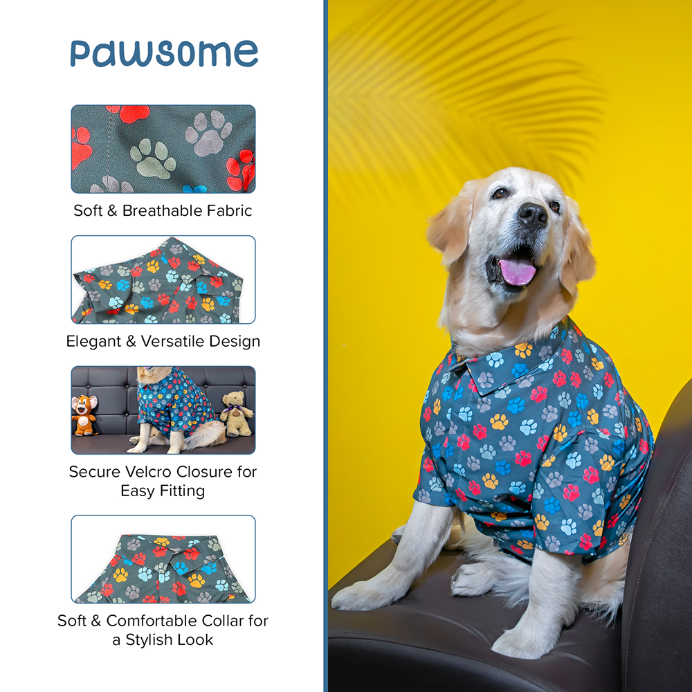 15buttons Pawsome Shirt for Dogs image 6