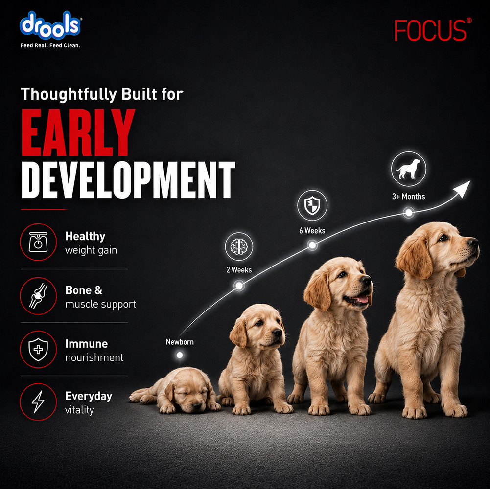 Drools Focus Pup Booster Puppy Weaning Diet for All Breeds (300g) image 5