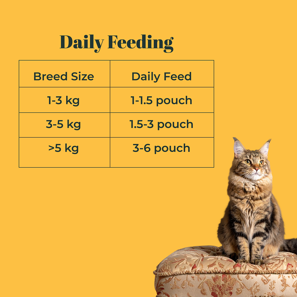 IndieCat Royal Glow Mackerel Fish Adult Cat Wet Food image 9