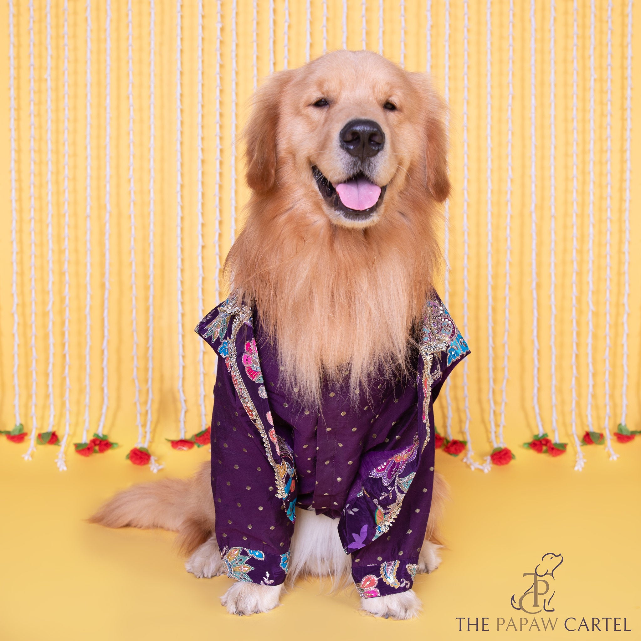 The Papaw Cartel Embroidered Motif Jacket Style Koti Kurta for Dogs & Cats (Purple Paisley) image 4
