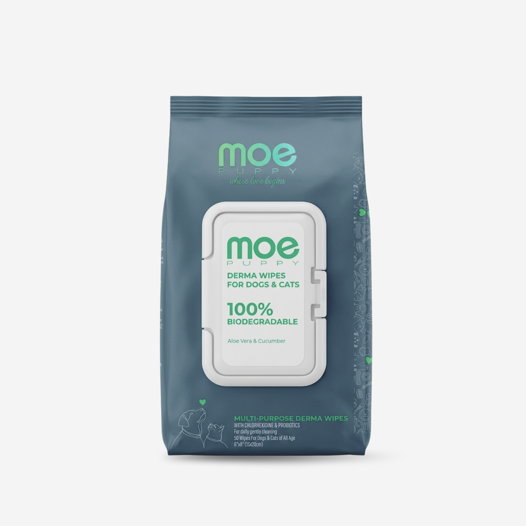 Moe Puppy Aloe Vera & Cucumber 100% Biodegradable Drema Wipes for Dogs and Cats image 6