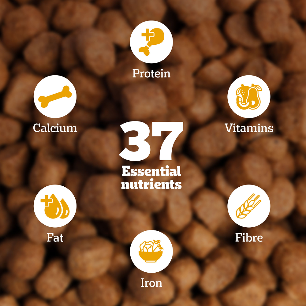 Pedigree Chicken and Vegetables Adult Dog Dry Food image 5
