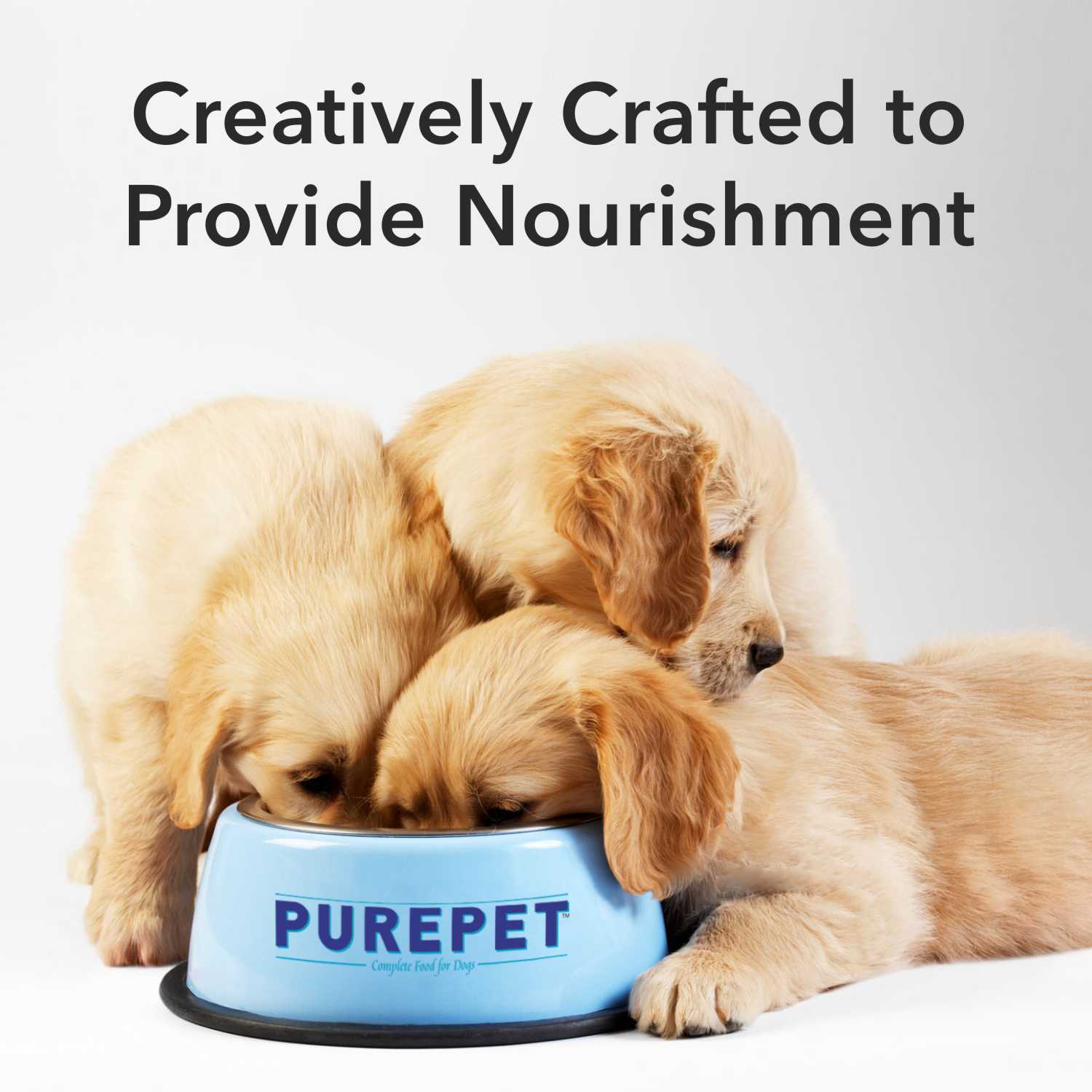 Purepet Chicken & Vegetable Chunks in Gravy Adult Dog Wet Food image 4