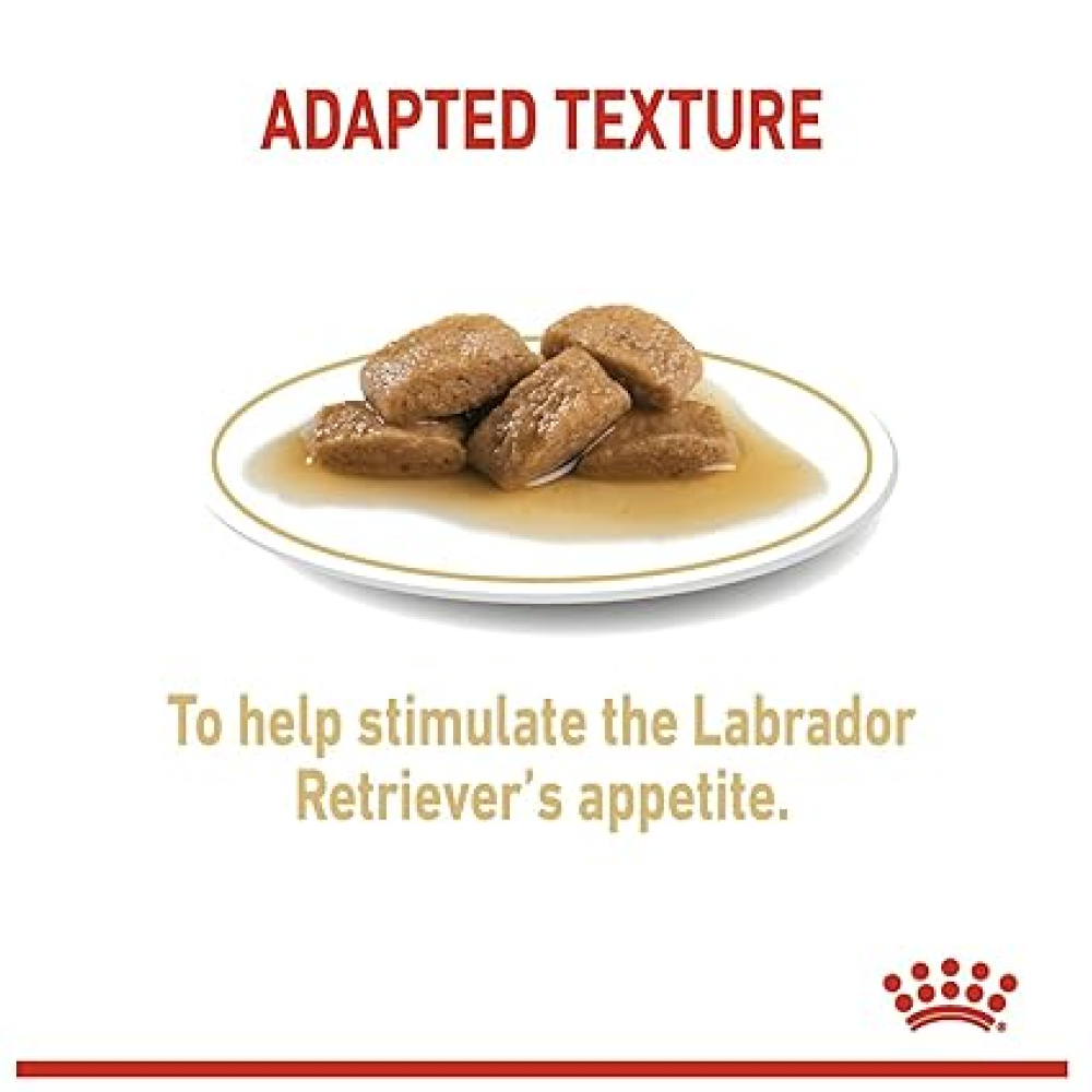 Royal Canin Labrador Retriever Adult Dog Wet Food image 2